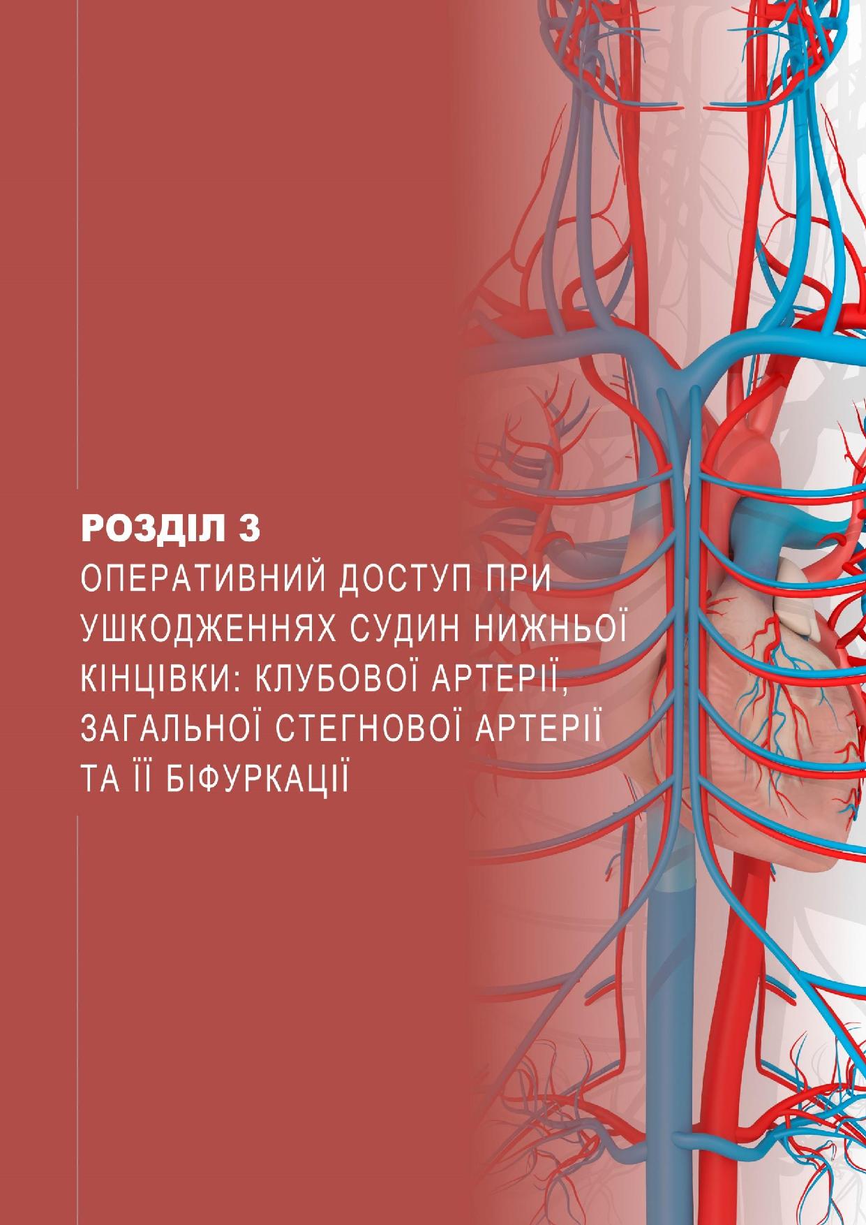 Оперативний доступ при ушкодженнях судин нижньої кінцівки: пошкодження
нижче біфуркації стегнової артерії